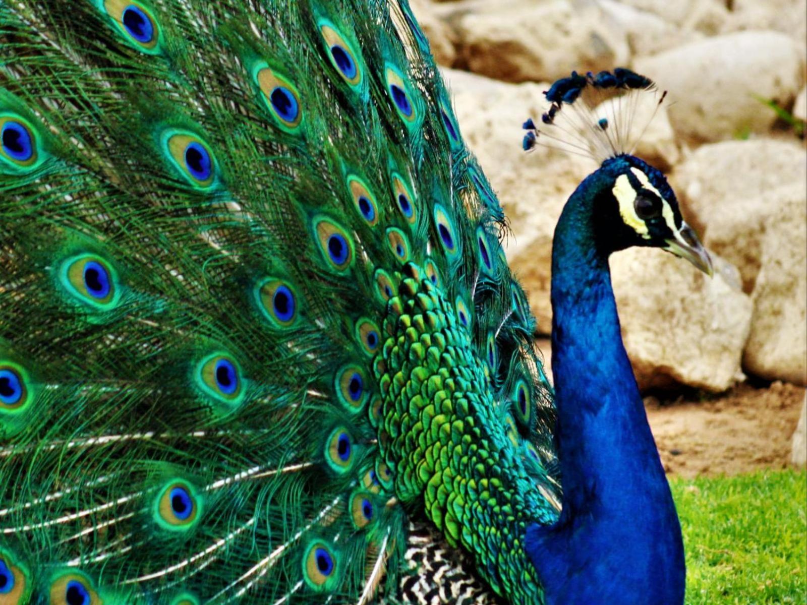 West Nest Lodge Gobabis Zewnętrze zdjęcie