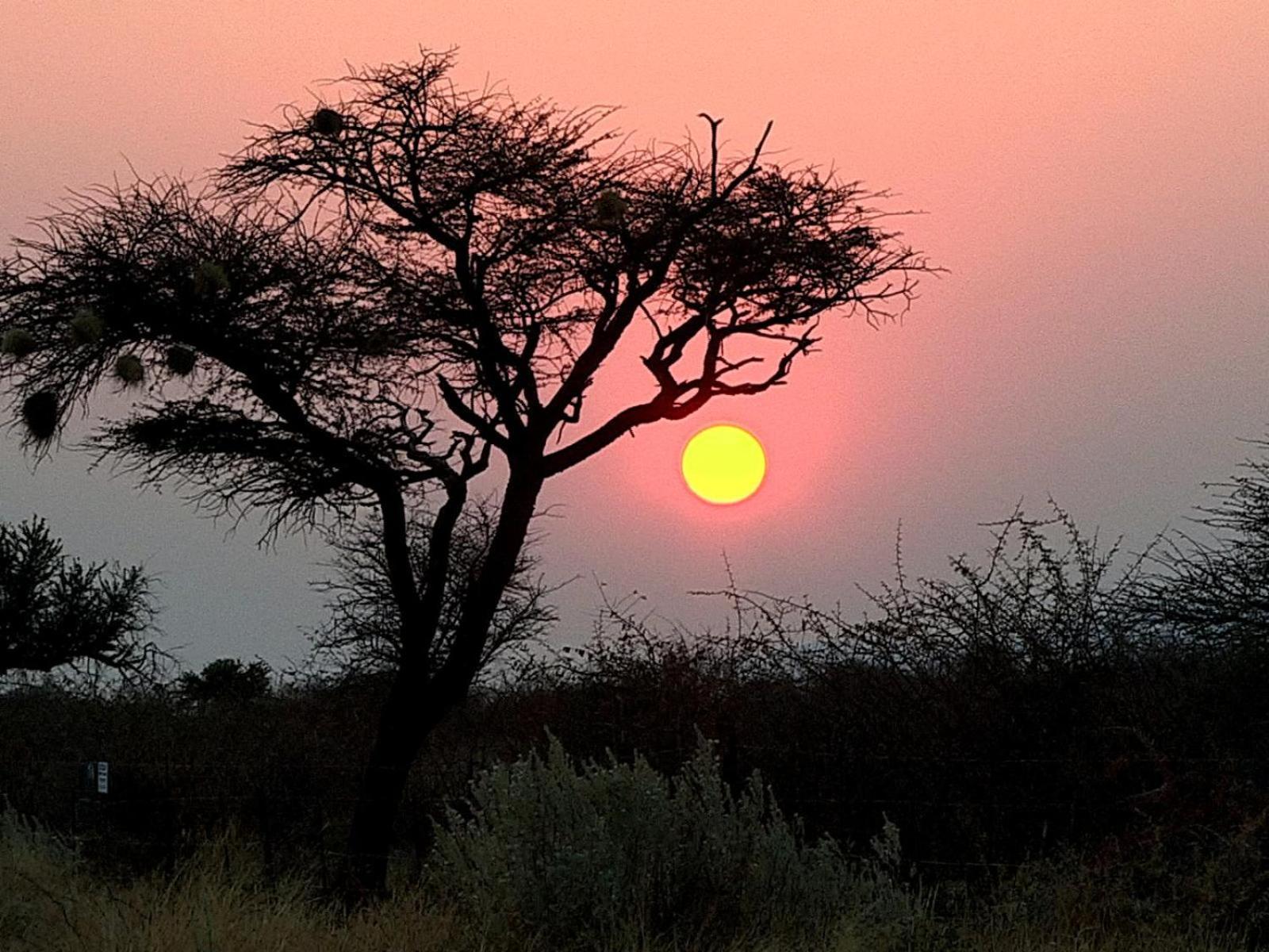 West Nest Lodge Gobabis Zewnętrze zdjęcie